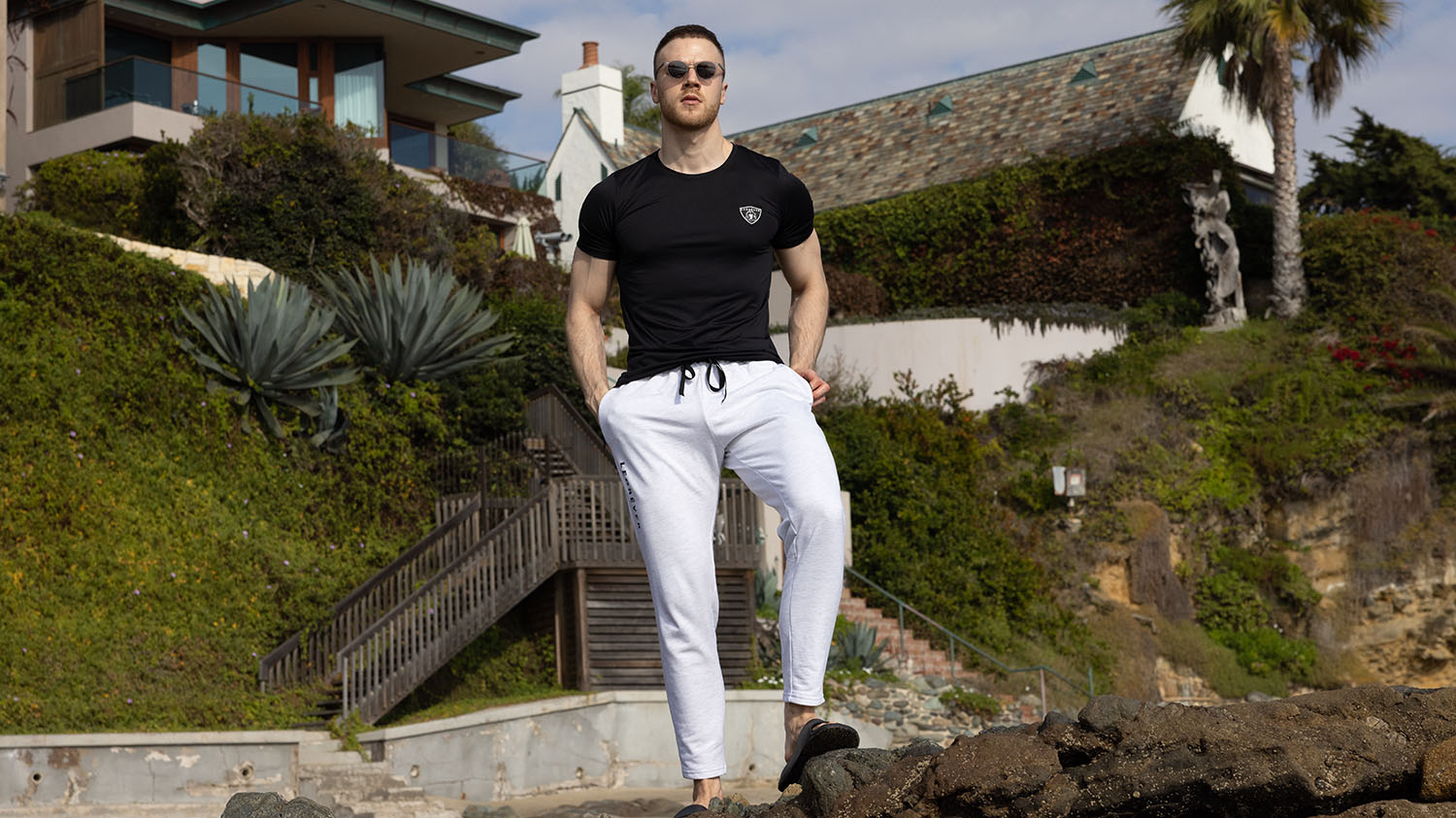 The Matisse Tee Collection